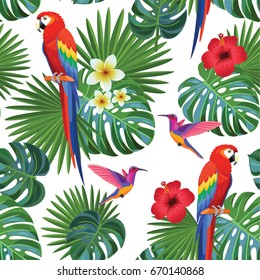 Patrón tropical con loros y colibríes. Textura sin fisuras vectorial.