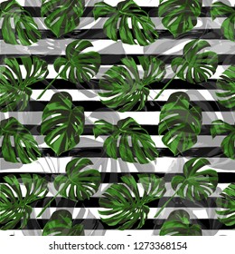 Tropical Pattern. Repeat Illustration. Summer Design for Swimwear. Exotic Palm Greenery Backdrop. Tropical Pattern with Monstera Leaves.