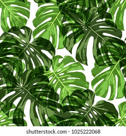 Tropical Pattern. Seamless Texture with Bright Hand Drawn Leaves of Monstera. Summer Rapport for Print, Cloth, Fabric. Vector Seamless Background with Tropic Plants.
