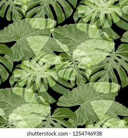 Tropical Pattern. Seamless Texture with Bright Hand Drawn Leaves of Exotic Tree. Summer Rapport for Print, Textile, Fabric. Vector Seamless Background with Tropic Plants. Watercolor Effect.