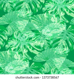 Tropical Pattern. Seamless Texture with Bright Hand Drawn Leaves of Exotic Tree. Bright Rapport for Print, Cloth, Fabric. Vector Seamless Background with Tropic Plants. Watercolor Effect.