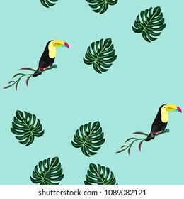 Tropical pattern with toucan and monstera leaves. Pattern with tropical birds.