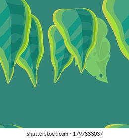 Patrón tropical. Sale sobre fondo verde.