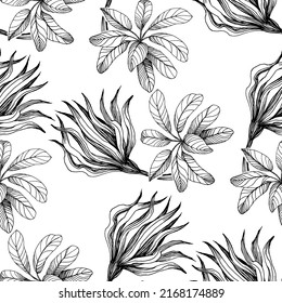 Tropical patterns flowers. Engraved ink art. Seamless pattern on black background. Fabric wallpaper print texture. Vector.