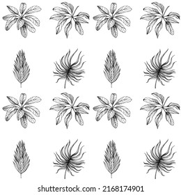 Flores con motivos tropicales. Arte con tinta grabada. Patrón sin foco sobre fondo negro. Textura de impresión de papel tapiz de tela. Vector.