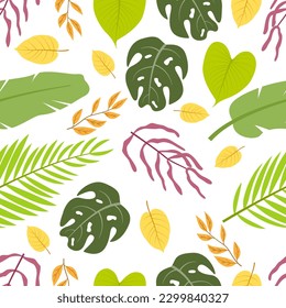 Tropical pattren leaves on a white background