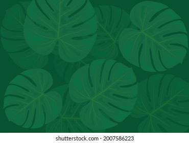 Tropical philodendron leaves background vector illustration