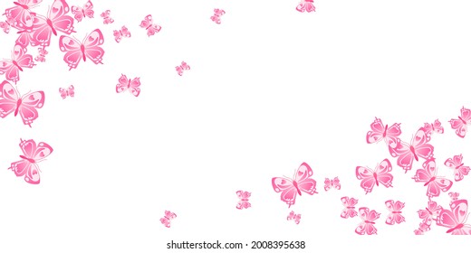 Tropical pink butterflies flying vector illustration. Spring colorful insects. Detailed butterflies flying girly wallpaper. Delicate wings moths patten. Nature beings.