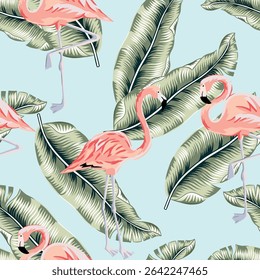 Tropical pink flamingo, banana palm leaves, light blue background. Vector seamless pattern. Jungle illustration. Exotic plants, birds. Summer design. Paradise nature