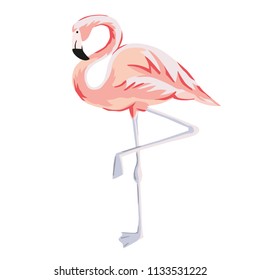 Tropical pink flamingo bird stand on one leg isolated on white background. Vector illustration. Paradise nature. Summer beach design. Drawn element