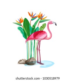 Tropical pink flamingo bird stands in water and strelitzia exotic flowers and green leaves on backdrop. Vector hand drawn illustration, design elements isolated on white background.