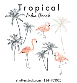 Tropical pink flamingo birds, palm trees on the beach print, white background. Vector design template for the t shirt, poster, card. Graphic illustration. Paradise nature. Sketch design