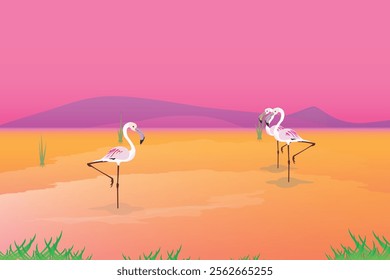 Tropical pink flamingo staing in water