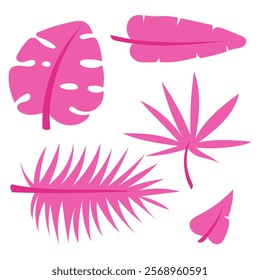 Tropical pink leaves. Exotic palm plants in the flat jungle. The leaves of banana, philodendron, plumeria, and monstera are highlighted on a white background. Collection of leaves, tropical motifs