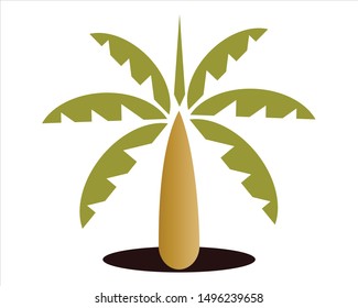 Tropical plam tree paradise summer vector