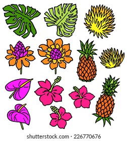 Tropical plant