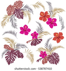 Tropical plant