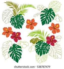 Tropical plant