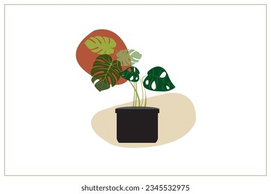 Tropical plant of artwork vector. Design modern minimalist  style  adanson monstera pastel colors on white background. Design print for illustration, textile, digital printing, decoration. Set 8