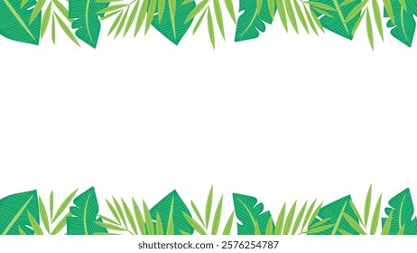 Tropical plant background with banana leaves and palm leaves on the top and bottom sides. isolated on white background. Place for text. Vector illustration