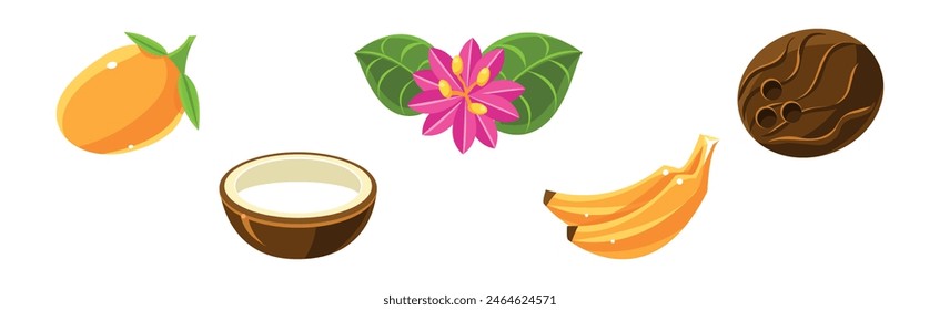 Tropical Plant with Flower and Fruit Vector Set