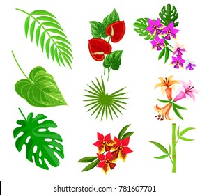 Tropical plant and flowers icons element set isolated on white