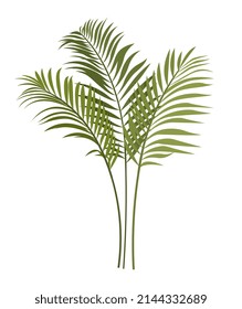 Icono de planta tropical. Hermosas ramas de palmeras con hojas largas y tallos finos. Medio ambiente y naturaleza. Elemento de diseño para banners. Dibujo vectorial realista de dibujos animados aislado en fondo blanco