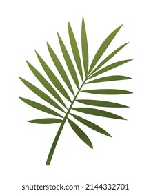 Tropical plant icon. Short green fern branch with leaves and shadows. Design element for websites and apps. Environment and nature. Cartoon gradient vector illustration isolated on white background