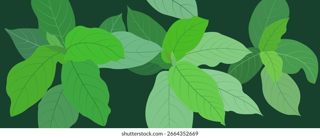 Diseño de Vector de fondo inspirado en plantas tropicales.