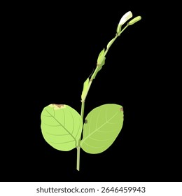 Tropical plant inspired leaf design with bright colors and flower buds at the end of the stem.