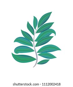 Tropical plant, jungle green palm leaf isolated on white background. Vector illustration. Element for Floral Arrangement.