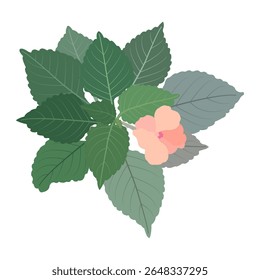 Projeto de folha de planta tropical com belas flores rosa.