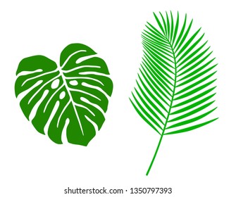 Tropical plant leaf icon set