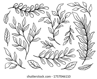 Tropical plant leaf set.Botanical floral element background.Design for home decor, fabric, carpet, wrapping. Vector illustration.

