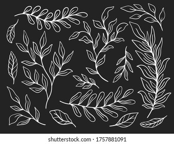 Tropical plant leaf set.Botanical floral element background.Design for home decor, fabric, carpet, wrapping. Vector illustration.

