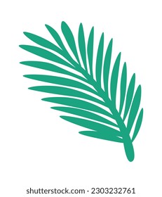 Tropical plant leaf shape. Vector illustration