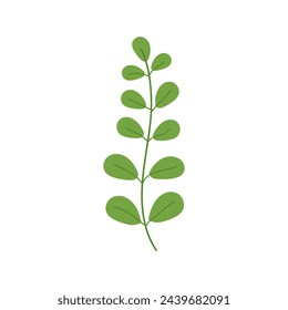 Ilustración de vector de hoja de planta tropical aislada sobre fondo blanco
