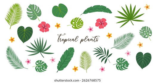 Tropical plant leaves llustration set. Modern botanical illustration of monstera, palm leaf, banana leaf hibiscus. Vector leaves with playful vibrant colors.