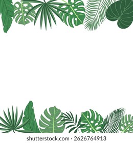 Tropical plant leaves summer backgruonds. Modern botanical illustration of monstera, palm leaf, banana leaf hibiscus.