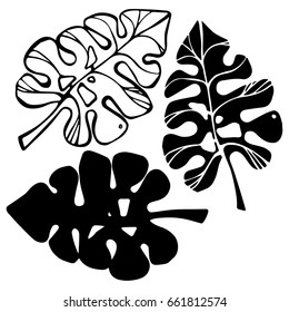Tropical plant leaves vector silhouette collection. Beautiful botanical vector.