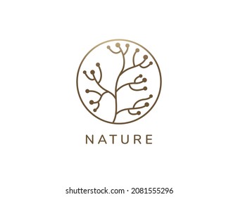 Vector de concepto del logotipo de la planta tropical.