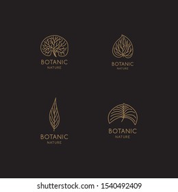 Tropical plant logo set, with a leaf symbol in a linear style. Vector abstract badge for design of natural products, flower shop, cosmetics, ecology concepts, health, spa, yoga Center.