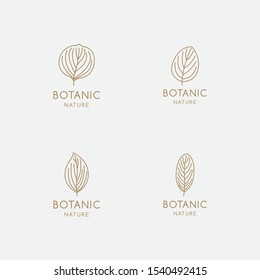 Tropical plant logo set, with a leaf symbol in a linear style. Vector abstract badge for design of natural products, flower shop, cosmetics, ecology concepts, health, spa, yoga Center.