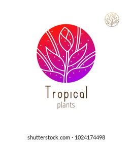 Tropical plant logo. Vector emblem floral element on isolated background. Abstract round badge for design of natural products, flower shop, cosmetics and ecology concepts, health, spa and yoga Center.