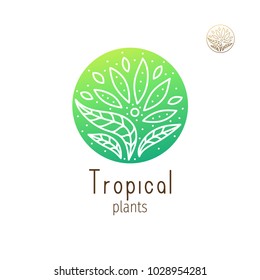 Tropical plant logo. Vector emblem floral element on isolated background. Abstract round badge for design of natural products, flower shop, cosmetics and ecology concepts, health, spa and yoga Center.