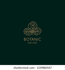 Tropical plant logos. Leaf symbol in linear style. Abstract leaf badge vector for natural product design, florists, cosmetics, ecology, health, medicine, healthy food