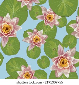 Tropical plant with lotus, water lily with leaves. Water lily flowers and leaves. Aquatic plants, Japanese and Chinese illustration.