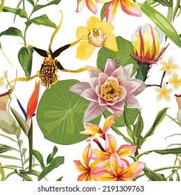 Tropical plant with lotus, water lily with leaves and exotic yellow flowers. Water lily flowers and exotic plant. Aquatic plants, Japanese and Chinese illustration.