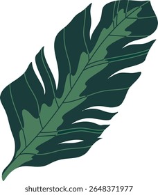tropical plant on white background