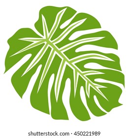 Tropical plant philodendron, isolated vector